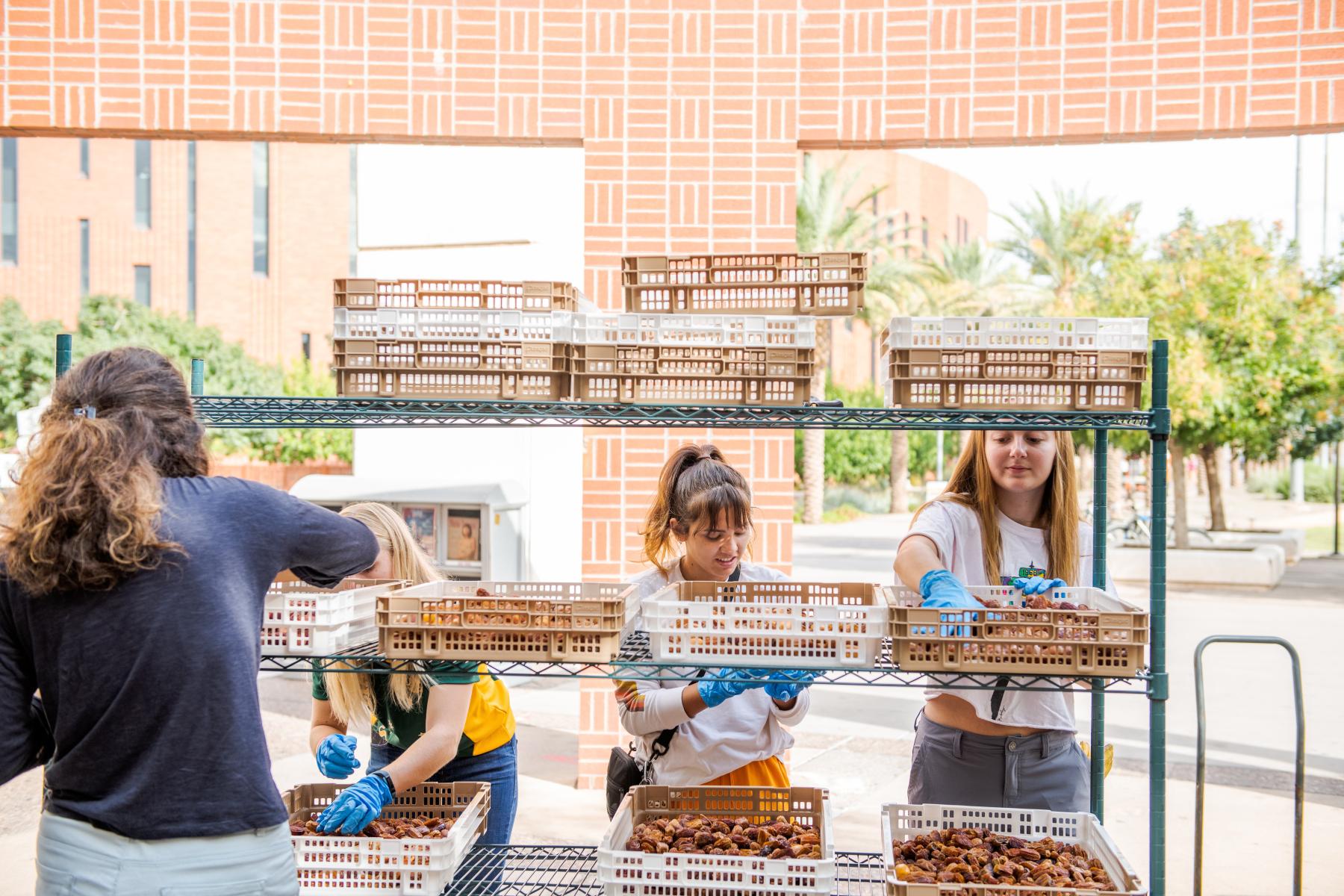190925-date_palm-harvest-17656-jo.jpg