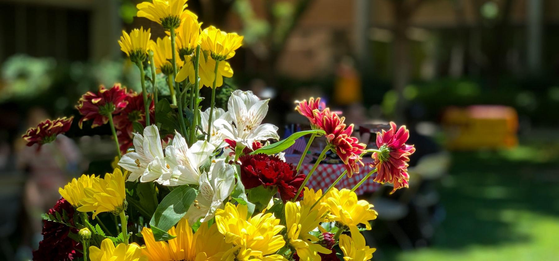 flowersiadppicniccrop.jpg