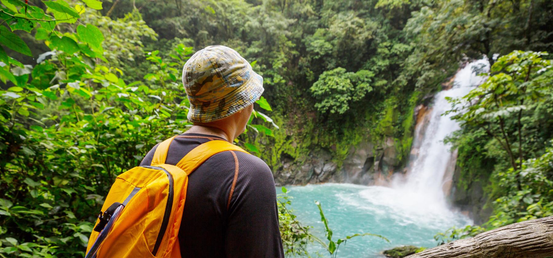 safariwaterfall.jpg
